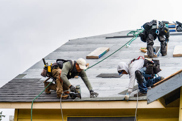 Professional Gutter Installation technician working in Hickory Valley, TN